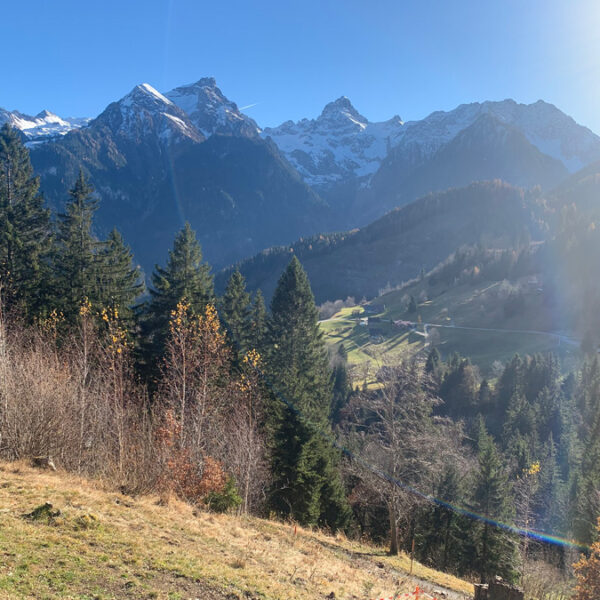 Grundstück für Ferienhaus in den Alpen -Bürserberg - Amann Immobilien