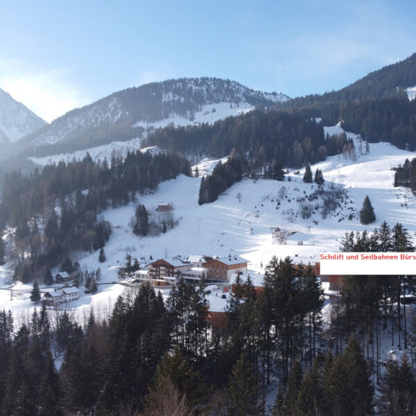 Grundstück für Ferienhaus in den Alpen - Bürserberg - Amann Immobilien