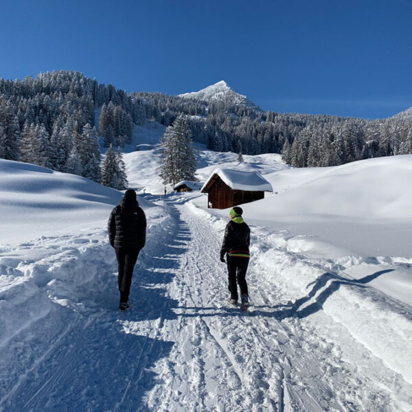 Grundstück für Ferienhaus in den Alpen - Bürserberg - Amann Immobilien