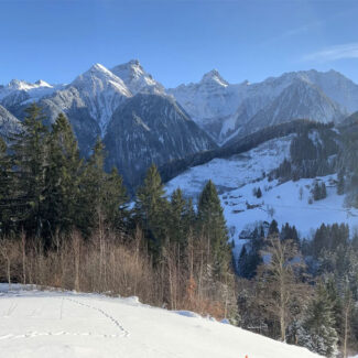 Grundstück für ein Ferienhaus in den Alpen - Amann Immobilien