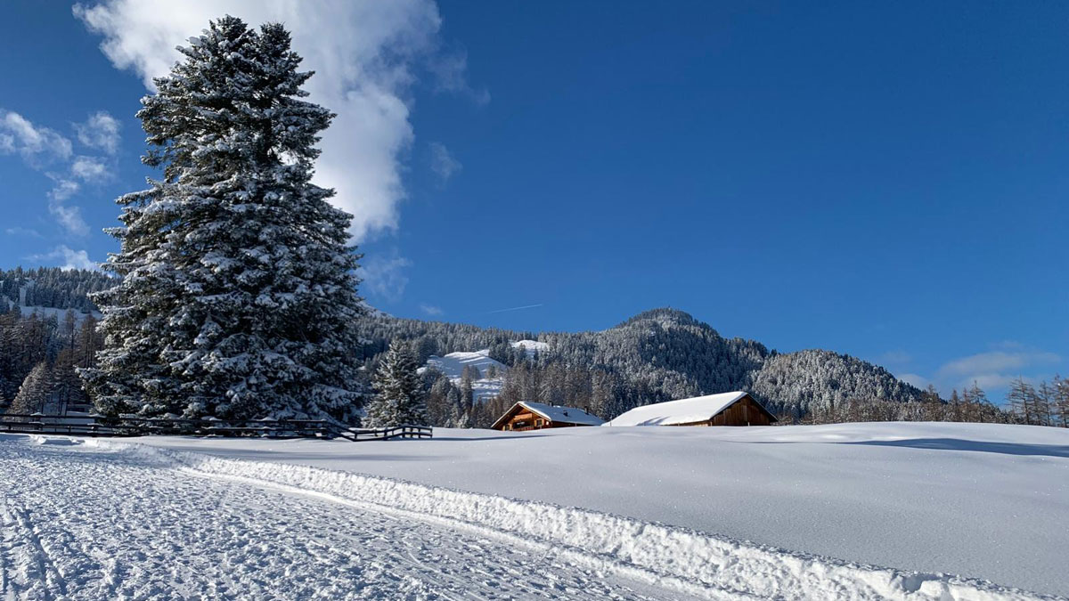 Grundstück für ein Ferienhaus in den Alpen - Bürserberg Tschengla - Amann Immobilien