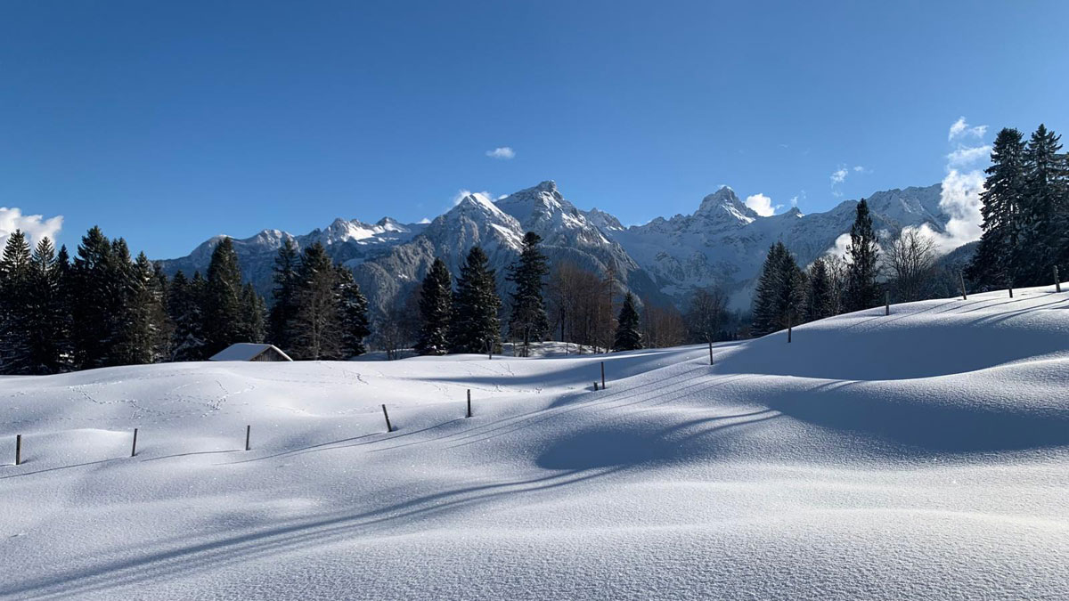 Grundstück für ein Ferienhaus in den Alpen - Wintersport Bürserberg - Amann Immobilien