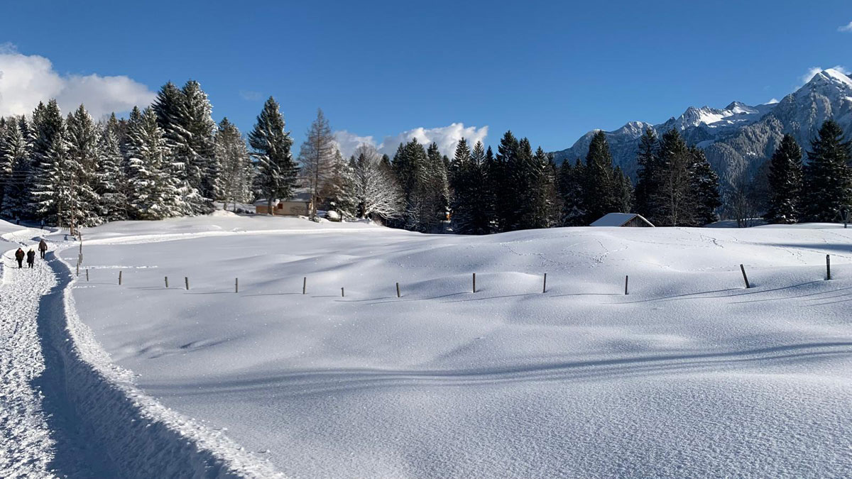 Grundstück für ein Ferienhaus in den Alpen - Bürserberg Tschengla - Amann Immobilien