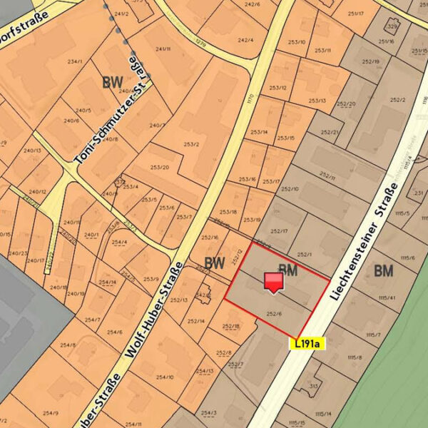 Leistbare 2-Zimmer-Wohnung in Feldkirch - Flächenwidmungsplan - Amann Immobilien