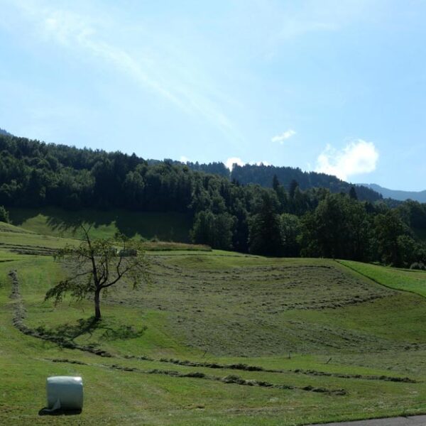 Geräumige 4-Zi-Wohnung im Grünen - Nenzing - Aussicht von der Terrasse - Amann Immobilien