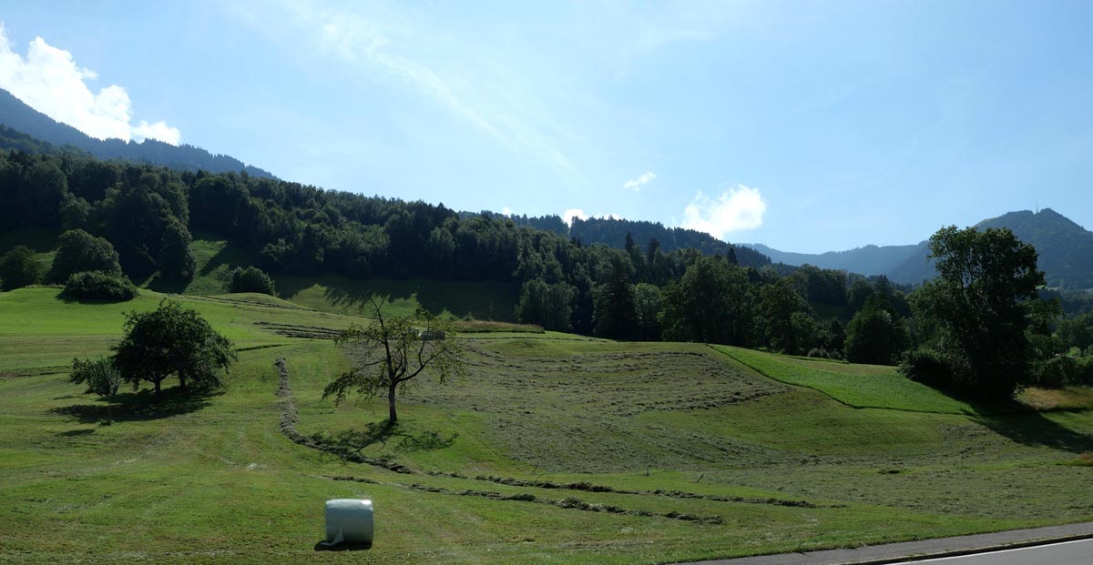 Geräumige 4-Zi-Wohnung im Grünen - Nenzing - Aussicht von der Terrasse - Amann Immobilien