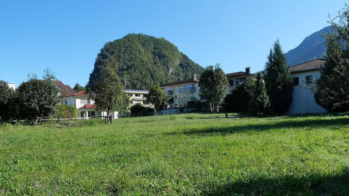 Grundstück in ruhiger und zentrumsnaher Lage - Hohenems - Blick Richtung Schlossberg - Amann Immobilien