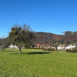 Baugründe in variabler Größe in Klaus - Amann Immobilien