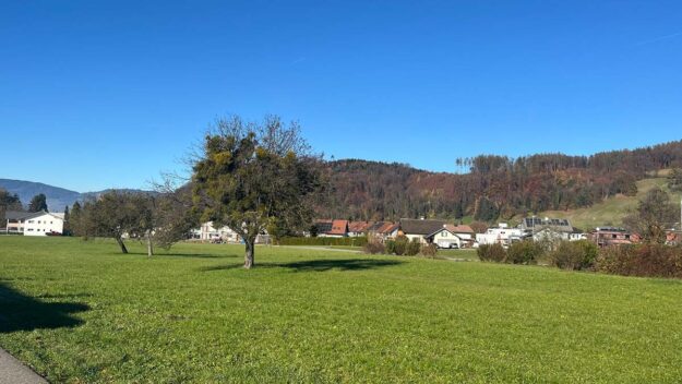 Baugründe in variabler Größe in Klaus - Amann Immobilien