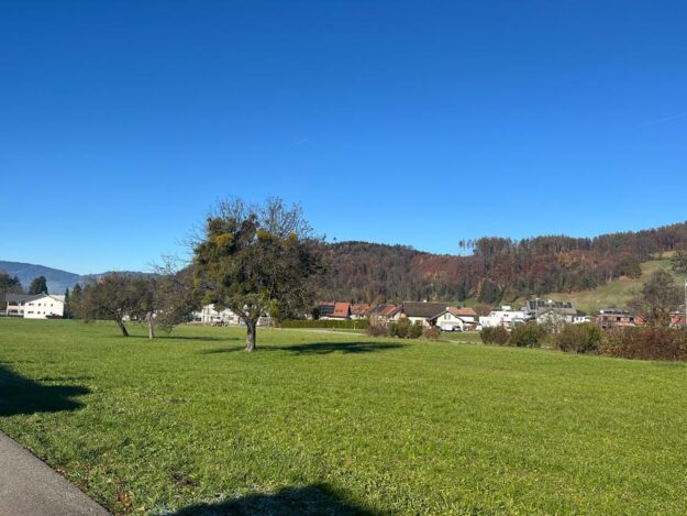 Baugründe in variabler Größe in Klaus - Amann Immobilien