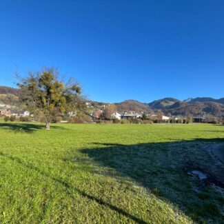 Baugründe in variabler Größe in Klaus - Amann Immobilien