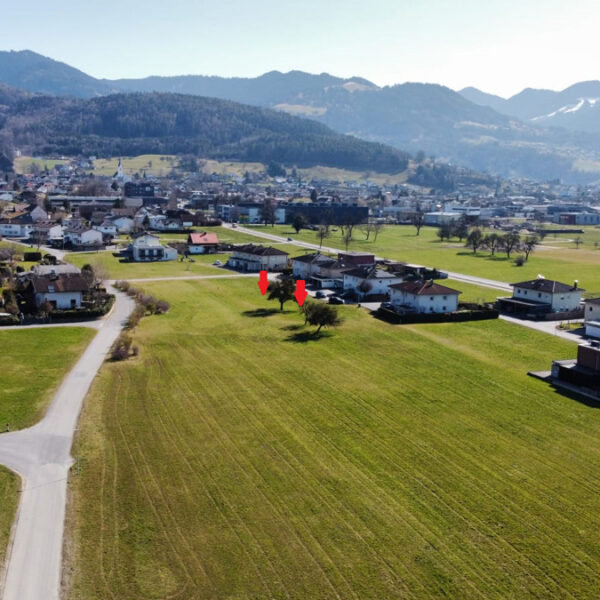 Baugründe in variabler Größe in Klaus - Amann Immobilien