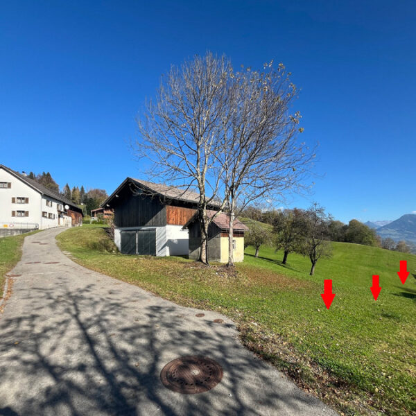 Baugrundstücke, landwirtschaftliche Flächen und Wald in Nenzing-Gurtis - Amann Immobilien
