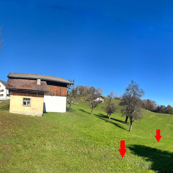 Baugrundstücke, landwirtschaftliche Flächen und Wald in Nenzing-Gurtis - Amann Immobilien