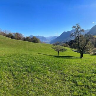 Baugrundstücke, landwirtschaftliche Flächen und Wald in Nenzing-Gurtis - Amann Immobilien