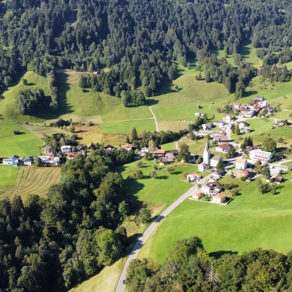 Baugrundstücke, landwirtschaftliche Flächen und Wald in Nenzing-Gurtis - Amann Immobilien