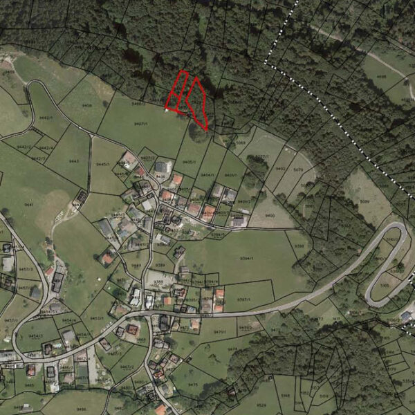Baugrundstücke, landwirtschaftliche Flächen und Wald in Nenzing-Gurtis - Waldparzellen - Amann Immobilien
