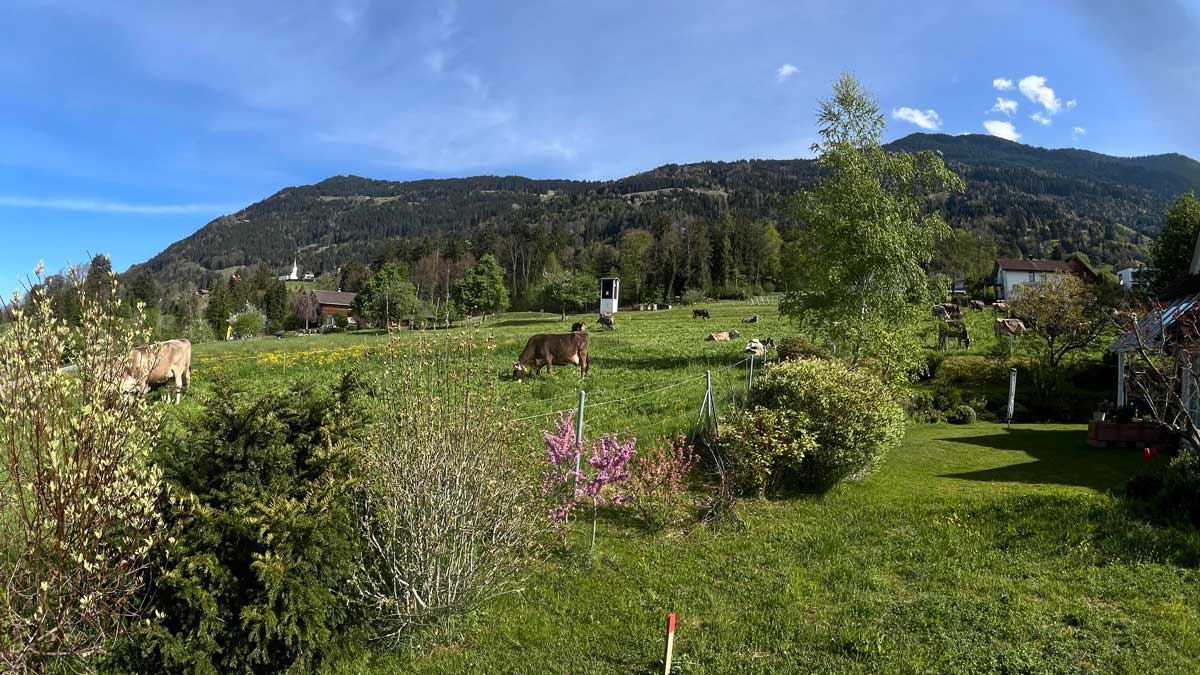 Baugrund mit super Aussicht in Schnifis - Amann Immobilien