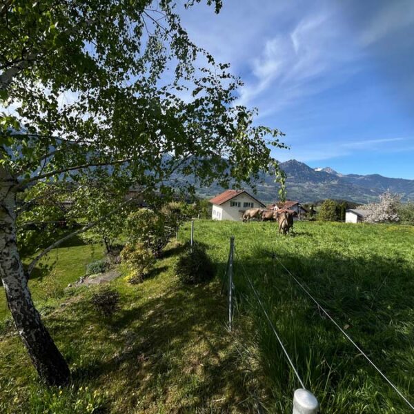 Baugrund mit super Aussicht in Schnifis - Amann Immobilien