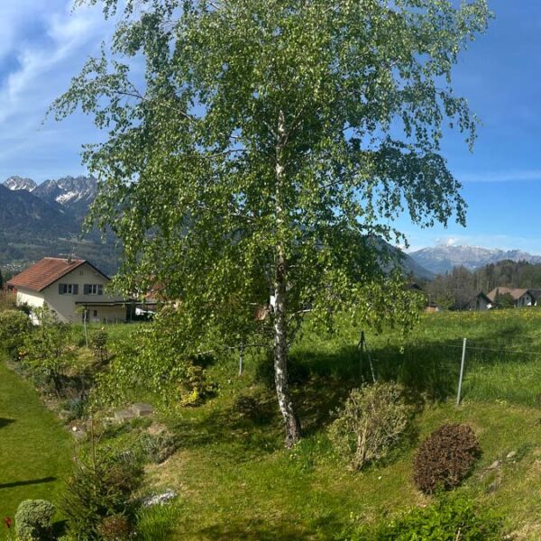 Baugrund mit super Aussicht in Schnifis - Amann Immobilien