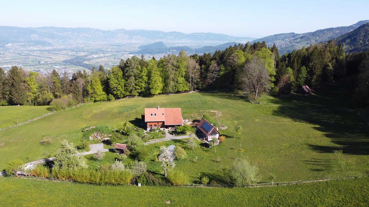 Traumhaft gelegener Bauernhof in Alleinlage - Übersaxen - Amann Immobilien