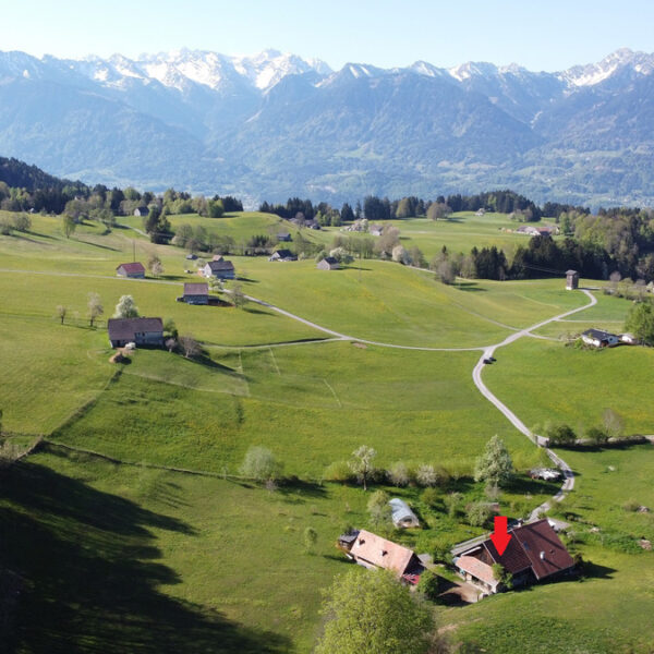 Traumhaft gelegener Bauernhof in Übersaxen - Amann Immobilien