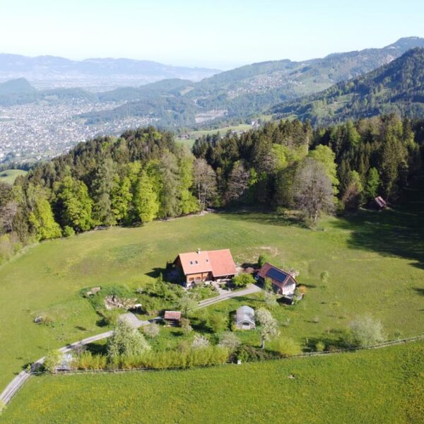 Traumhaft gelegener Bauernhof in Übersaxen - Amann Immobilien