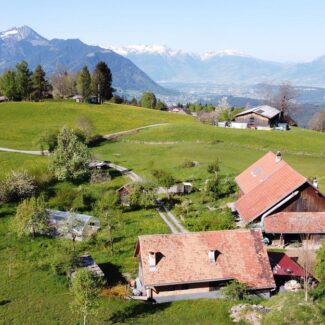 Traumhaft gelegener Bauernhof in Übersaxen - Amann Immobilien