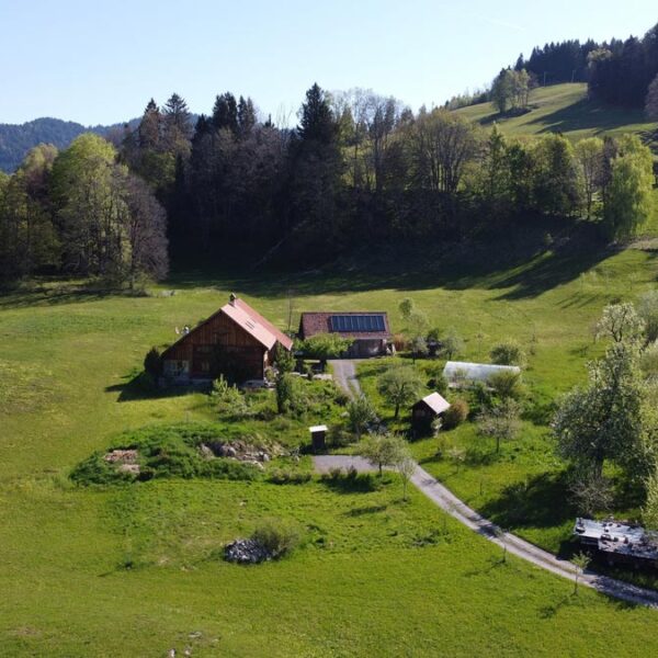 Traumhaft gelegener Bauernhof in Übersaxen - Amann Immobilien