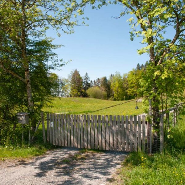 Traumhaft gelegener Bauernhof in Übersaxen - Amann Immobilien