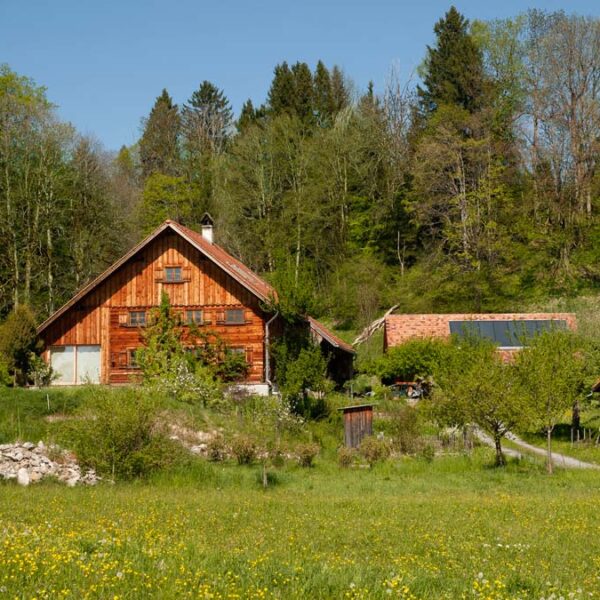 Traumhaft gelegener Bauernhof in Übersaxen - Amann Immobilien