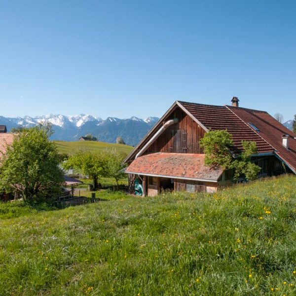 Traumhaft gelegener Bauernhof in Übersaxen - Amann Immobilien