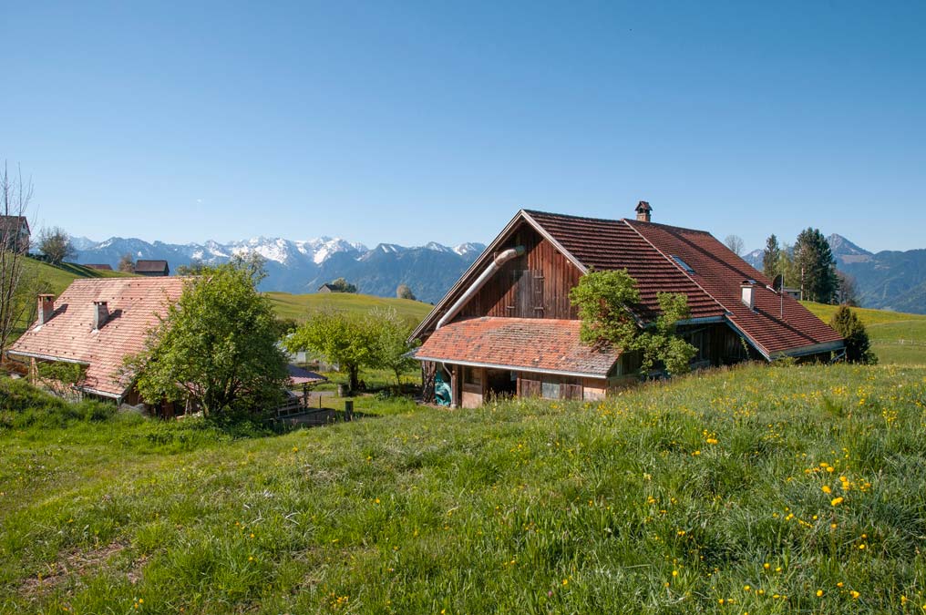 Traumhaft gelegener Bauernhof in Übersaxen - Amann Immobilien