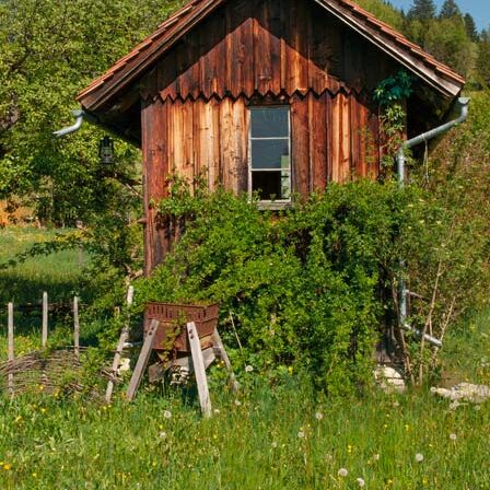 Traumhaft gelegener Bauernhof in Übersaxen - Amann Immobilien