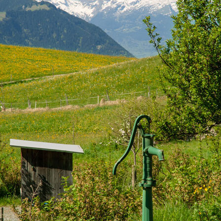 Traumhaft gelegener Bauernhof in Übersaxen - Amann Immobilien