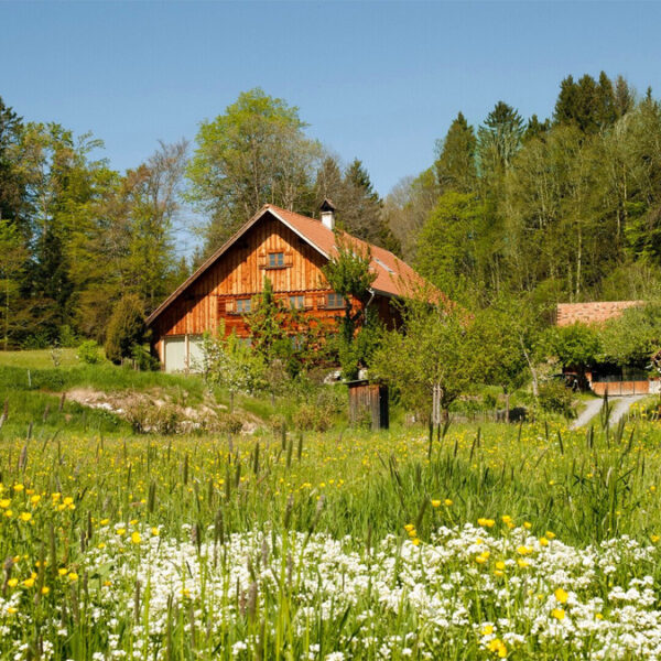 Traumhaft gelegener Bauernhof in Übersaxen - Amann Immobilien