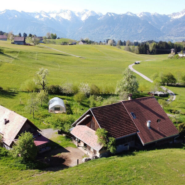 Traumhaft gelegener Bauernhof in Übersaxen - Amann Immobilien