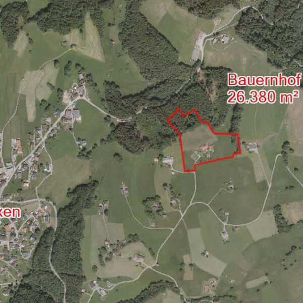 Traumhaft gelegener Bauernhof in Übersaxen - Amann Immobilien