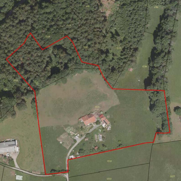 Traumhaft gelegener Bauernhof in Übersaxen - Katasterplan - Amann Immobilien