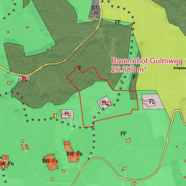 Traumhaft gelegener Bauernhof in Übersaxen - Flächenwidmungsplan - Amann Immobilien