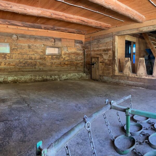 Traumhaft gelegener Bauernhof in Übersaxen - Amann Immobilien