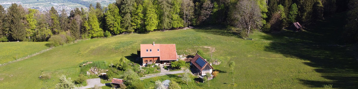 Traumhaft gelegener Bauernhof in Alleinlage - Übersaxen - Amann Immobilien