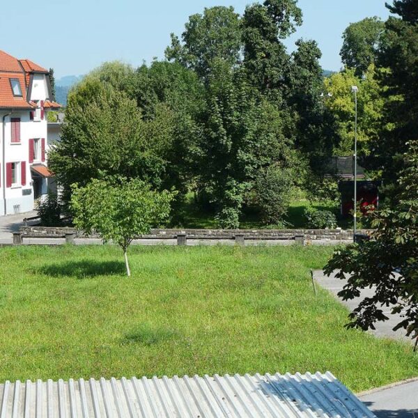 Baugrund in Rankweil - Blick Richtung Norden - Amann Immobilien