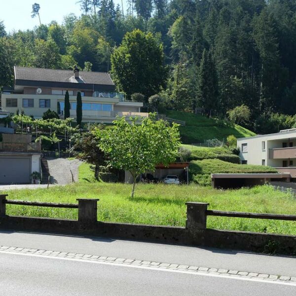 Baugrund in Rankweil - Blick Richtung Süden - Amann Immobilien