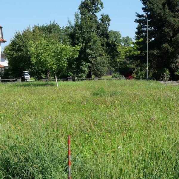 Baugrund in Rankweil - Amann Immobilien