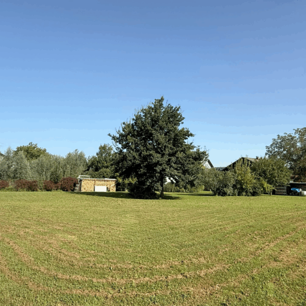 Attraktives Baugrundstück in Lustenau - Blick Richtung Westen - Amann Immobilien