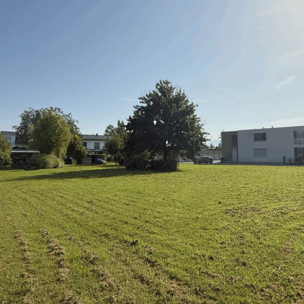 Attraktives Baugrundstück in Lustenau - Blick Richtung Nordosten - Amann Immobilien