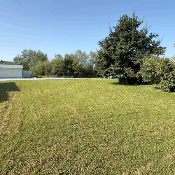 Attraktives Baugrundstück in Lustenau - Blick Richtung Süden - Amann Immobilien