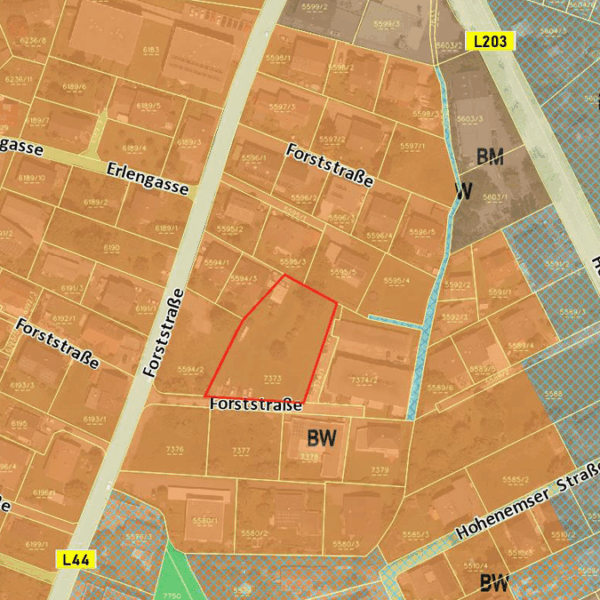 Attraktives Baugrundstück in Lustenau - Flächenwidmungsplan - Amann Immobilien