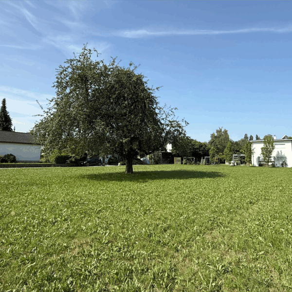Baugrundstück in Lustenau - Blick Richtung Südwest - Amann Immobilien